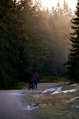 Fototapeta premium Family walk in the forest. 