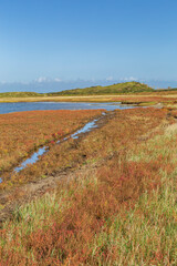 Panorama of Nature reserve De Slufter on the Waddenisland Texel, North Holland, Netherlands