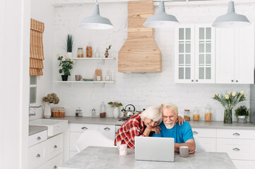 Fototapeta na wymiar Senior couple with laptop at home