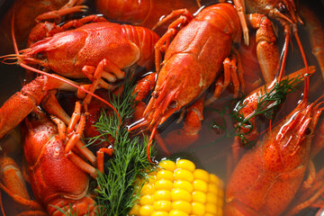 Fresh delicious crayfishes in water, closeup view