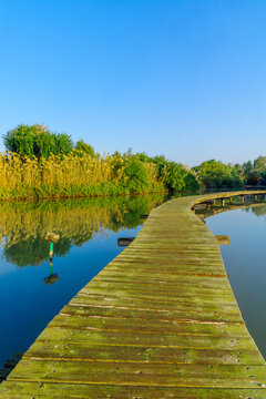 Elevated pathway over a pond, in En Afek nature reserve © RnDmS