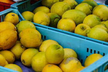 Lemon stand in a market in Pollença, Mallorca, Spain