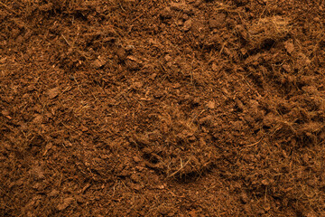Coconut substrate background.