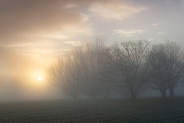 Fototapeta na wymiar Sunrise Misty Morning 