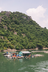 Fototapeta premium Vietnam
