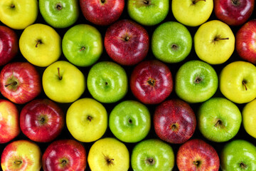 Grupo de manzanas de diferentes colores y variedades dispuestas en fila con vista cenital.