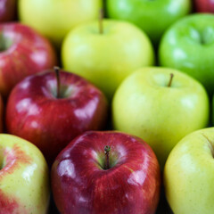 Grupo de manzanas de diferentes colores y variedades dispuestas en fila con desenfoque del fondo.