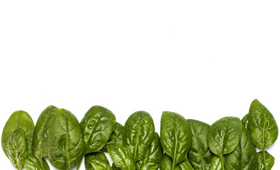 Fresh spinach leaves on a white background.