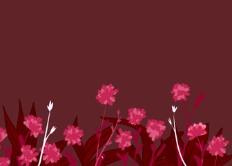 flowers background red  pink color 