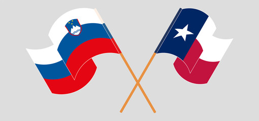 Crossed and waving flags of Slovenia and the State of Texas