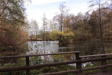 Blick auf den Traeberts Teich in der Waldemei, einem Waldstück der Stadt Menden im Sauerland