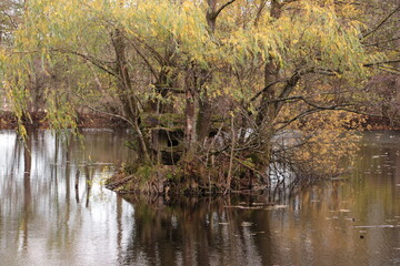 Blick auf den Traeberts Teich in der Waldemei, einem Waldstück der Stadt Menden im Sauerland