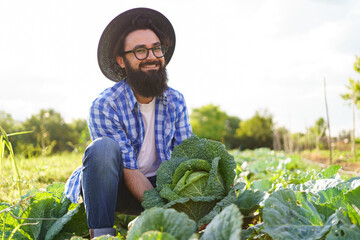 Pickled cabbage in the hands of a smiling male farmer. Man farmer holding cabbage on a background...