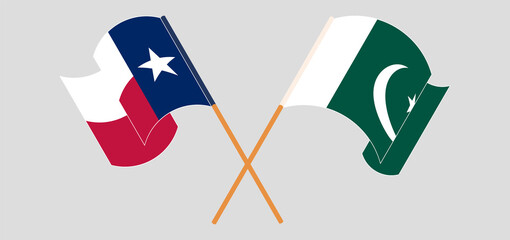 Crossed and waving flags of Pakistan and the State of Texas