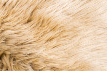 Brown wool texture background. Natural fluffy fur sheep wool skin texture. Real wool fur of sheep, close up, selective focus