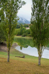 Obraz premium Poplars next to the Maroño reservoir