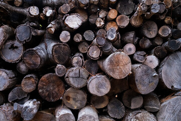 Stack of firewood