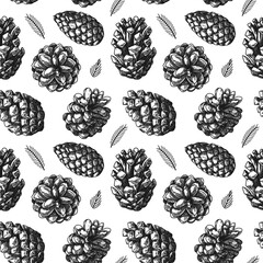 Seamless pattern with different pine cone. Sketch, hand drawn