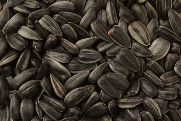 Raw sunflower seeds as background, top view