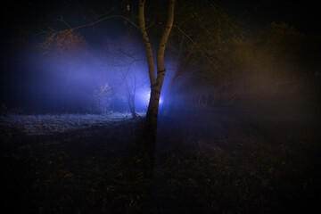 strange light in a dark forest at night. Silhouette of person standing in the dark forest with light. Dark night in forest at fog time. Surreal night forest scene. Horror halloween concept. Fairytale