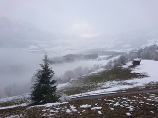 fog in the mountains