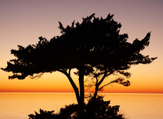 Sunset silhouette