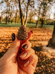 hand holding a cone