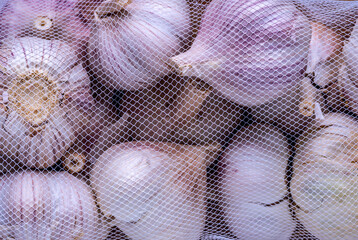 A close up shot of garlic bulbs in a netting bag