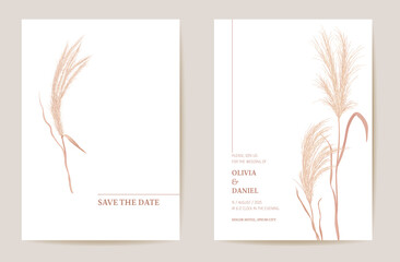 Minimal wedding invitation pampas grass boho card. Autumn watercolor template vector. Botanical Save the Date