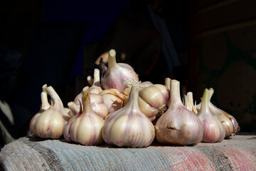 Garlic on a woven rug with a dark background with space for text. Poster, advertisement, article.