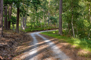 Eurovelo 10 (R-10) bicycle route that goes along Baltic Sea beach in the vicinity of  Sztutowo village, Poland