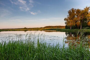 lake in autumn