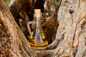 Obraz na płótnie Canvas olive oil in the bottle