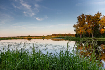 autumn landscape with lake