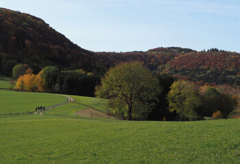 Fototapeta na wymiar Wandergruppe, Herbstfärbung, Schwäbische Alb