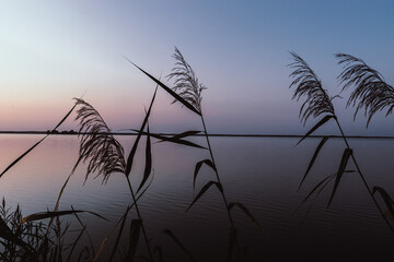 Fototapeta premium am Steinhuder Meer