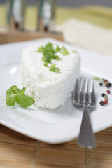 White Polish cheese