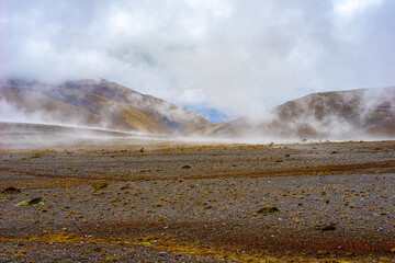 Ecuador, beautiful foggy Landscape in the Chimborazo National Park