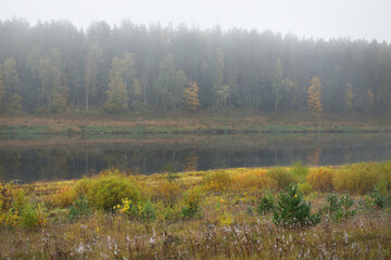 Panoramic view of majestic golden birch forest and bends of Daugava river in a fog. Autumn. Daugavas loki nature park, Latgale, Latvia. Ecology, ecotourism, recreation, travel destinations, landmark