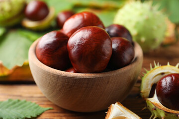 Horse chestnuts in bowl on wooden table, closeup