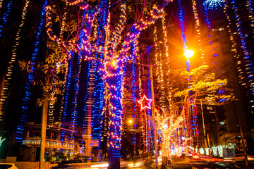 christmas lights in the city