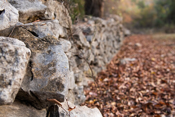 Fototapeta na wymiar Fall Scene With Stone Wall