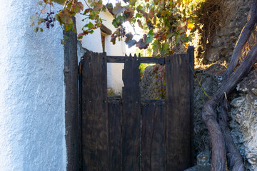 little wooden door in the street