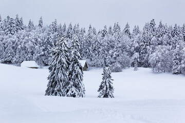 White cover snow rural alp mountain valley trees with house winter ski sports season Christmas holiday concept  