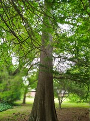 Obraz premium En el medio