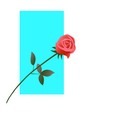 Red rose on a blue background. Beautiful flower for a woman. Love symbol. Vector isolated romantic illustration.