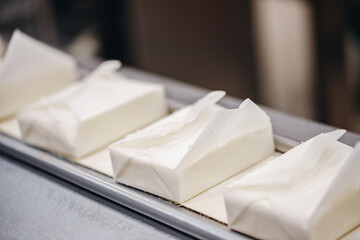 Products packaged White curd cottage cheese , dairy factory automatic conveyor line top view