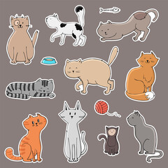 Set of cute stickers with different cats. Design concept for label, patch, print.