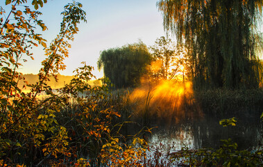Sunrise at the pond