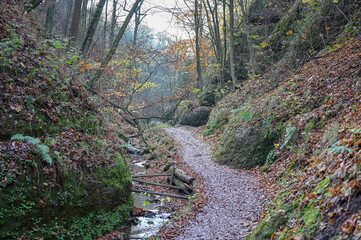 Drachenschlucht bei Eisenach im Spätherbst